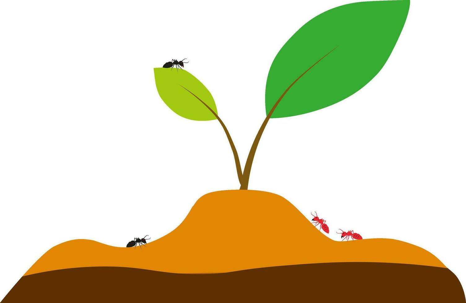 Ants On Small Plant Vector Illustration