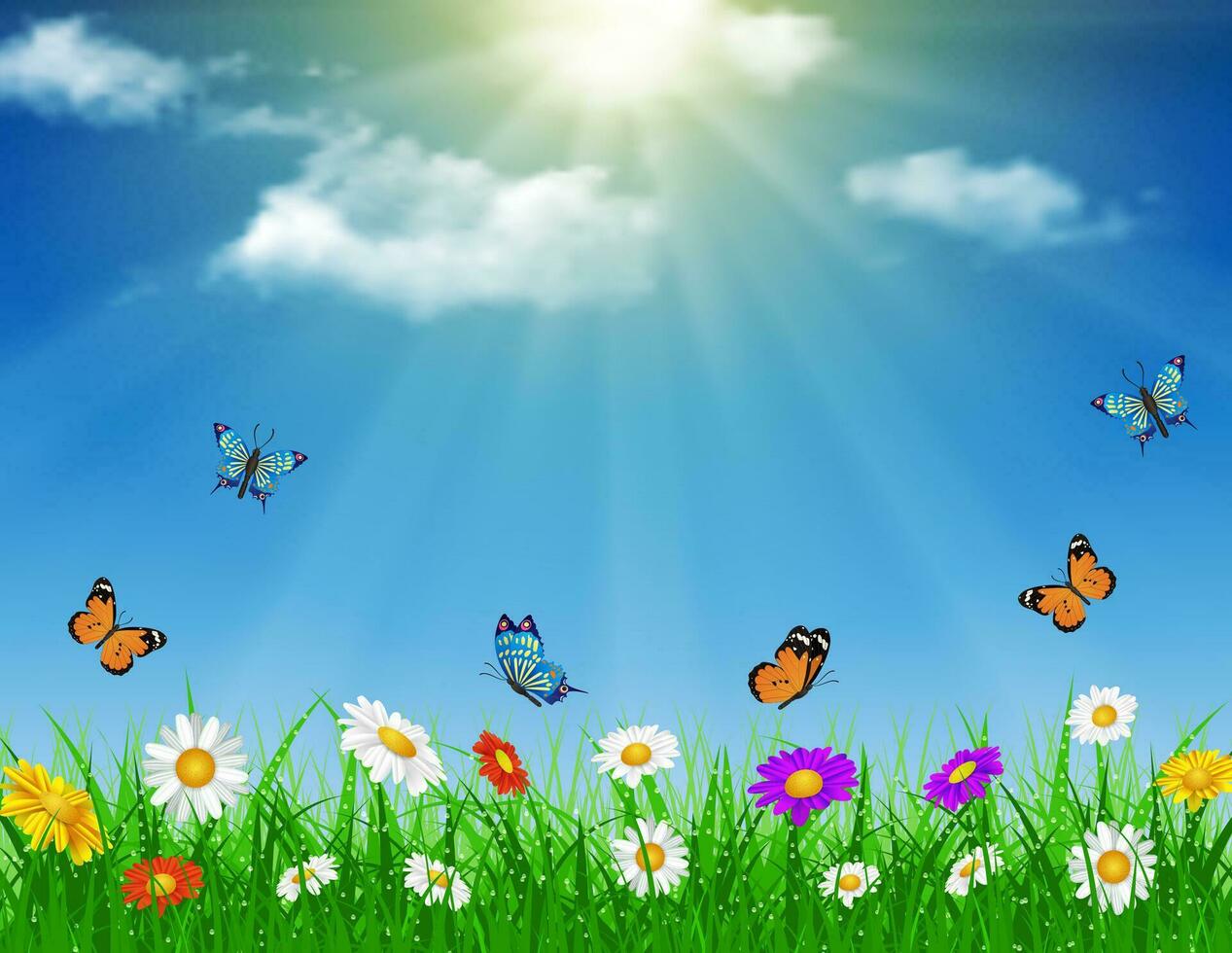 daisy vector background summer design