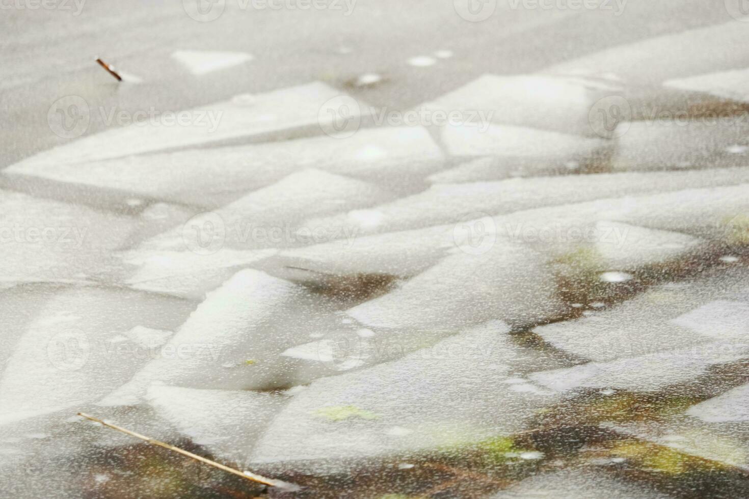 Many broken ice shards on a lake surface with yellow old reed leaves and some snow photo