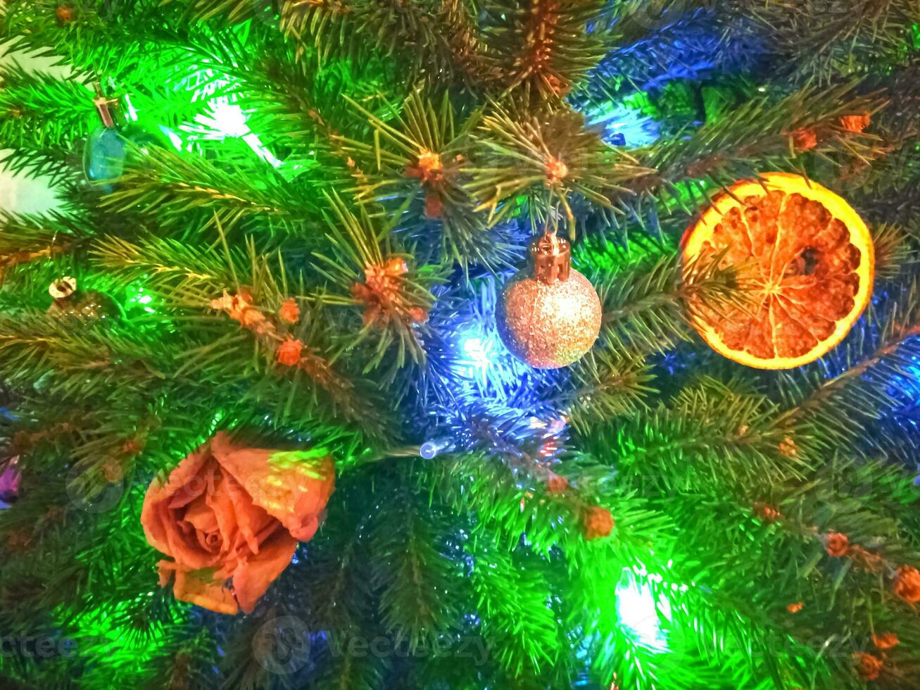 Close up view on pine tree branches with Christmas fairy lights, dry roses and orange slices and baubles as decorations photo