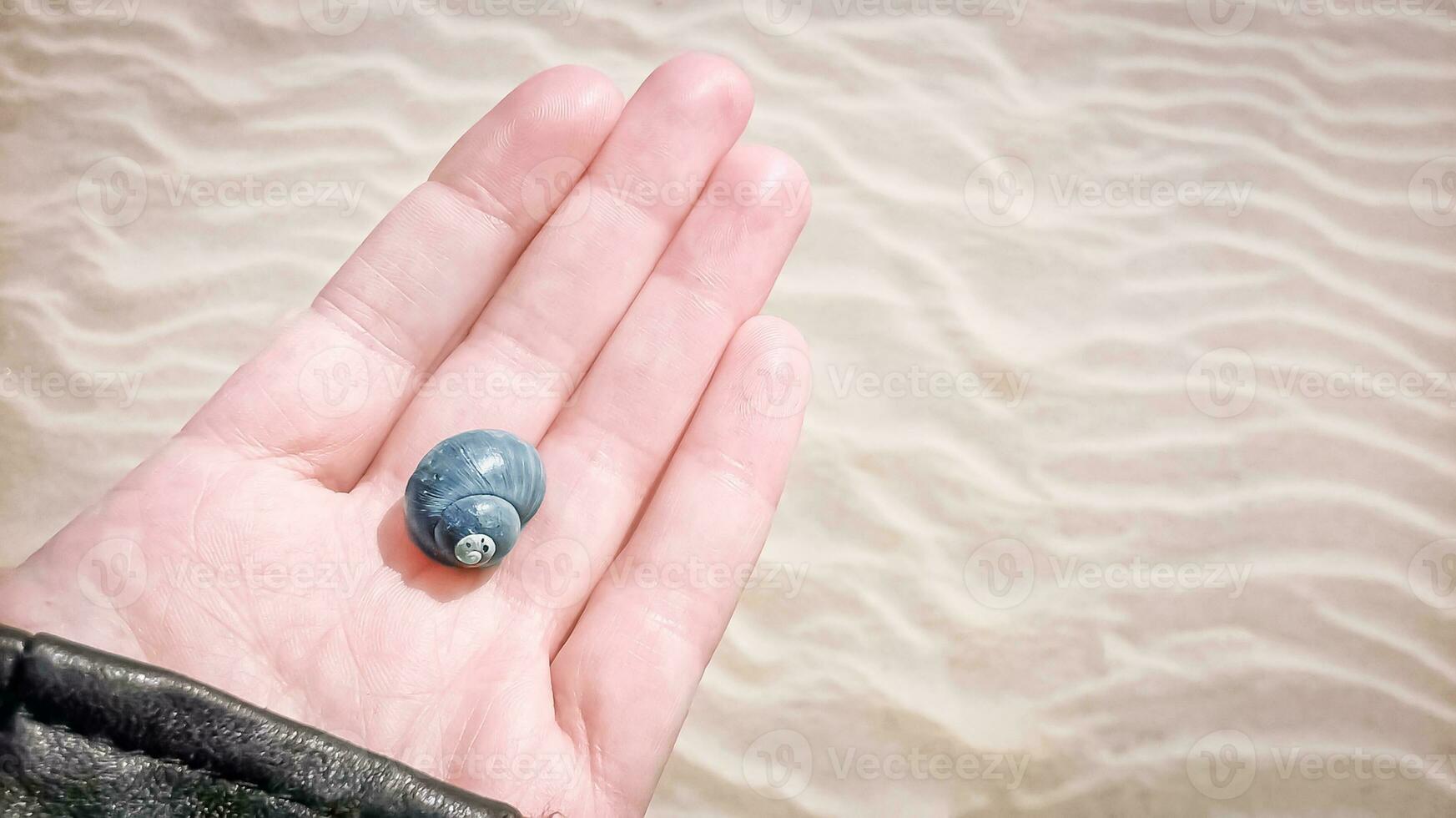 Beautiful blue seashell on the hand palm against a wavy sand beach background photo