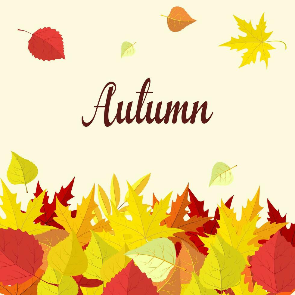 Vector background with colorful autumn leaves