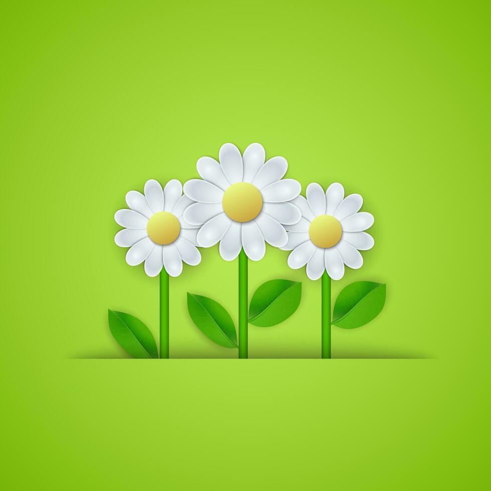 Summer floral background with daisy flowers. vector