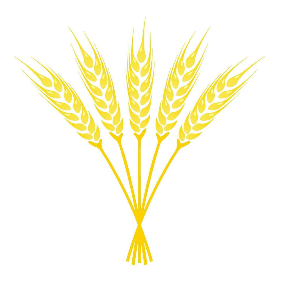 Ears of Wheat icon vector