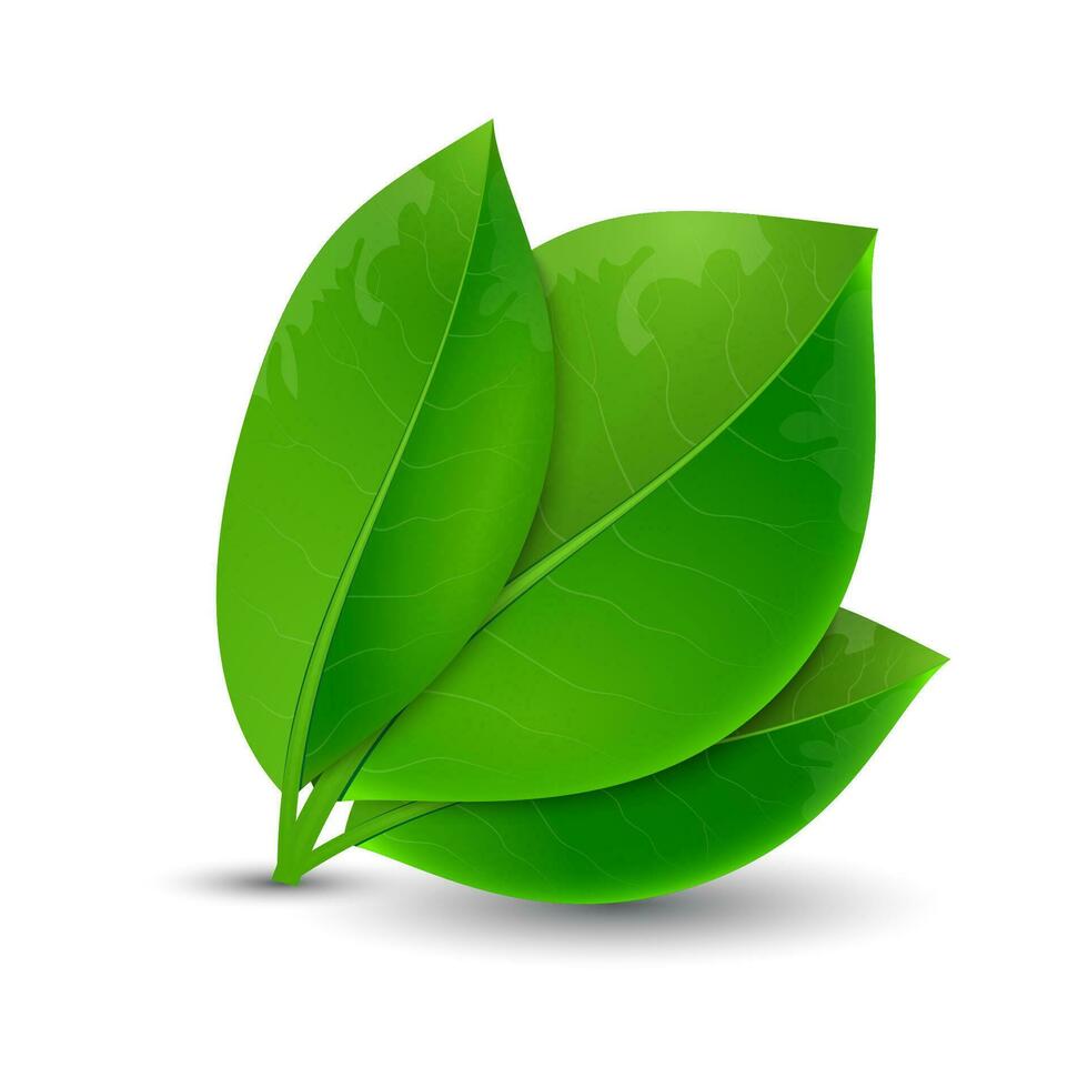 ecología concepto verde hojas vector