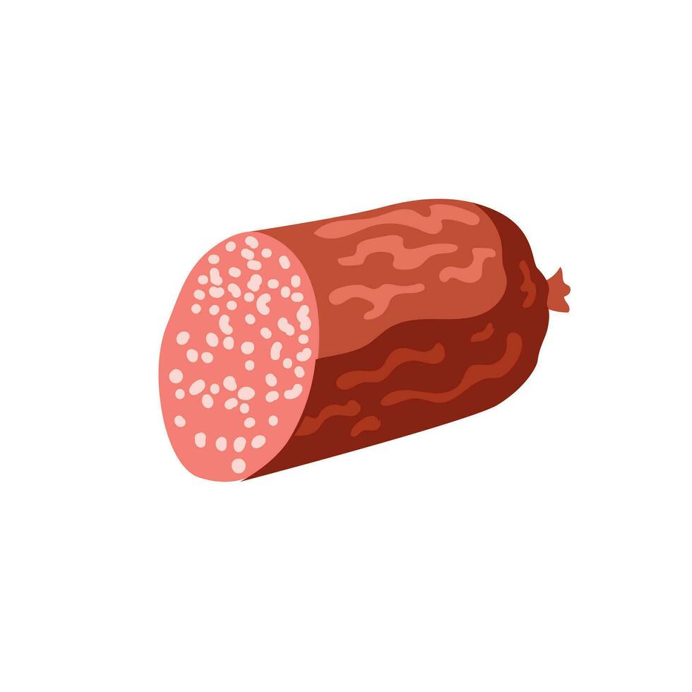 Cured Salami Sausage vector