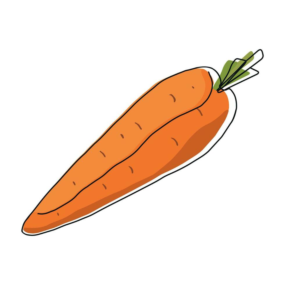 Line carrot on white background. Vector illustration