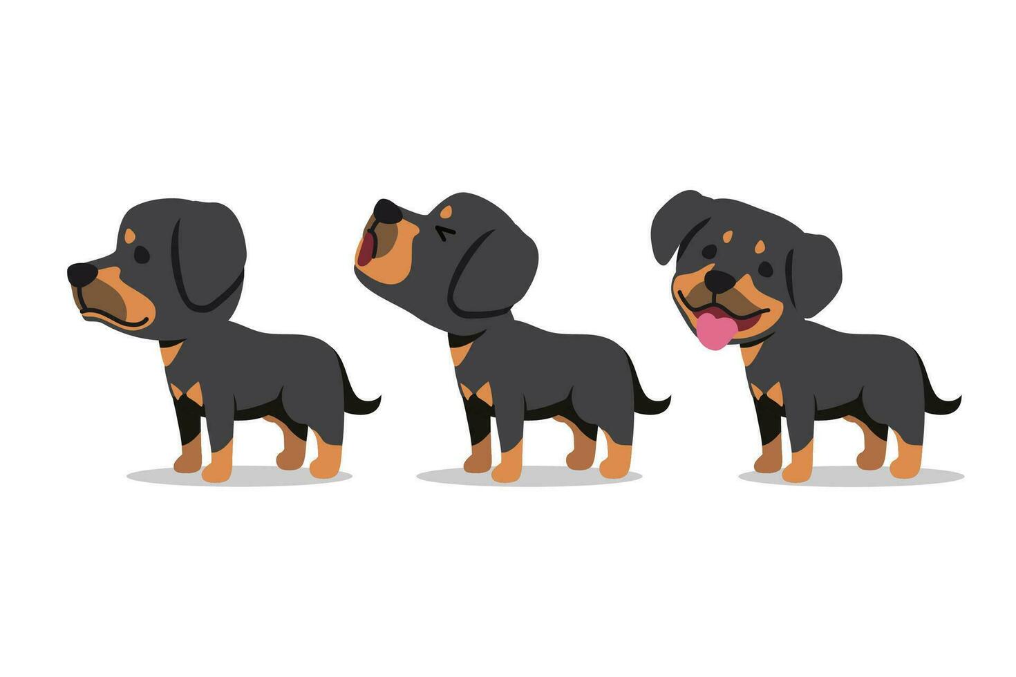 conjunto de vector dibujos animados personaje Rottweiler perro