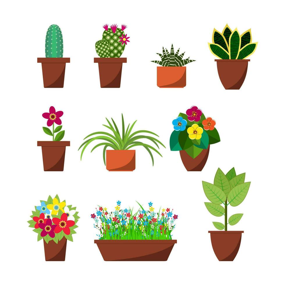 House plants and flowers for interior decoration vector