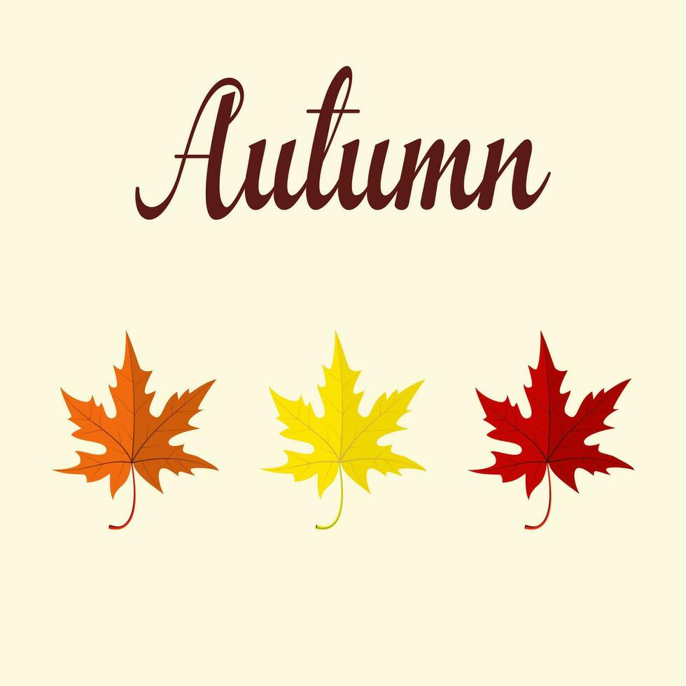 Vector background with colorful autumn leaves