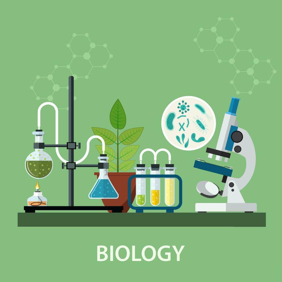 Biology laboratory workspace vector