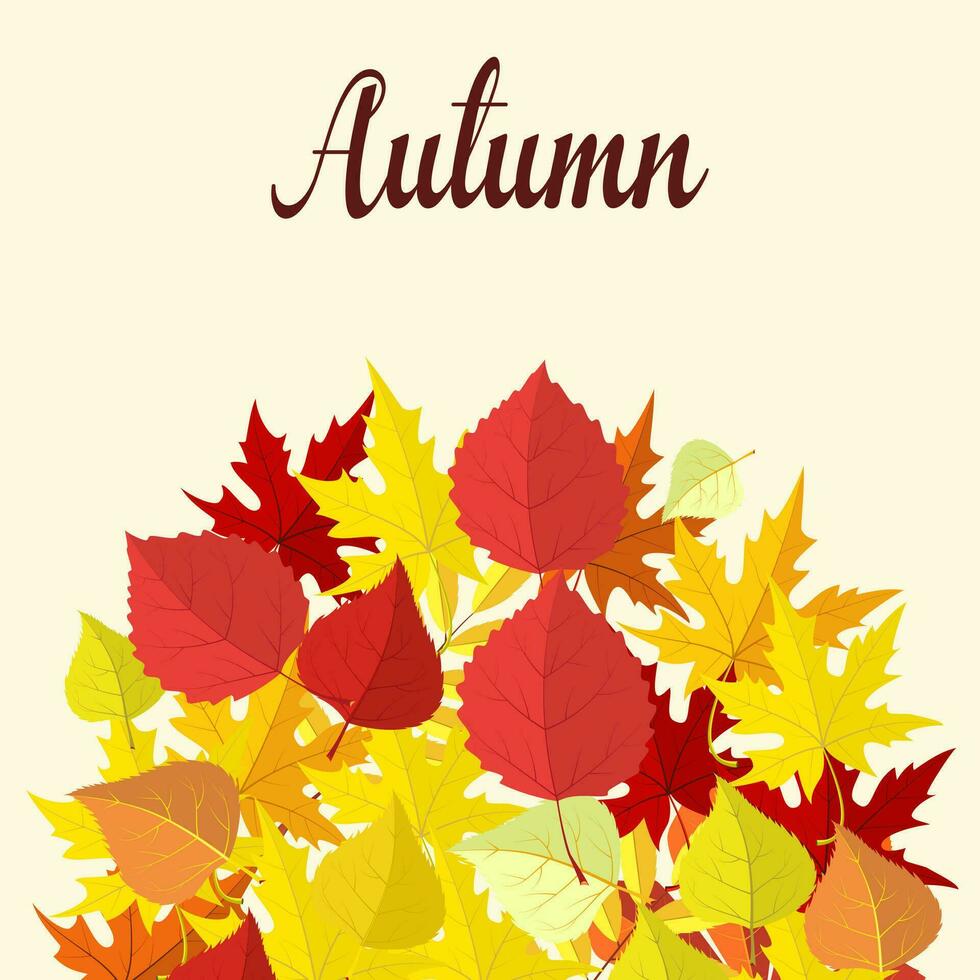 Vector background with colorful autumn leaves