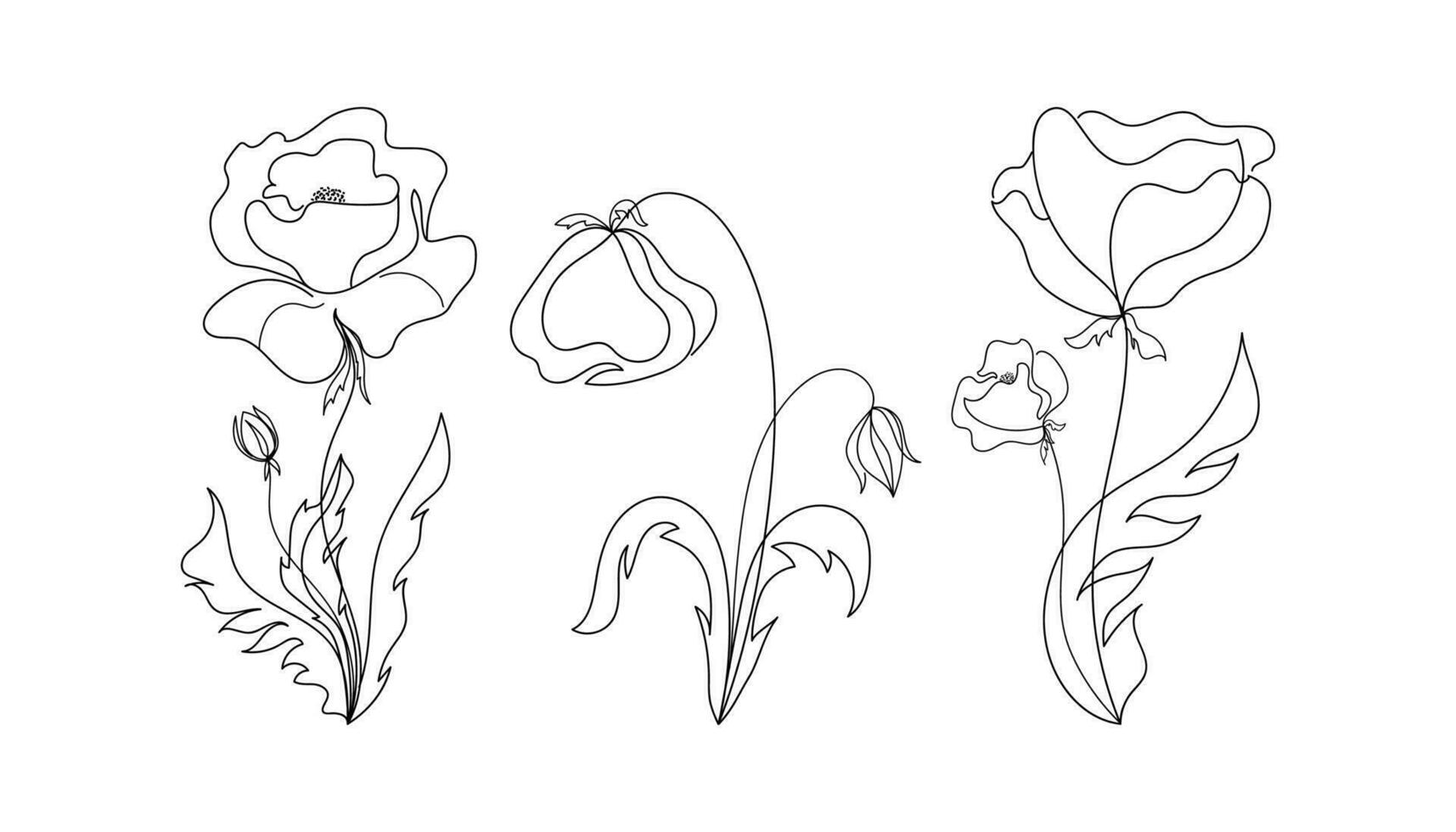 Continuous line drawing of various abstract poppies. Sketch of flower set. Botanical minimalist art. Memory symbol. Vector illustration in one line.