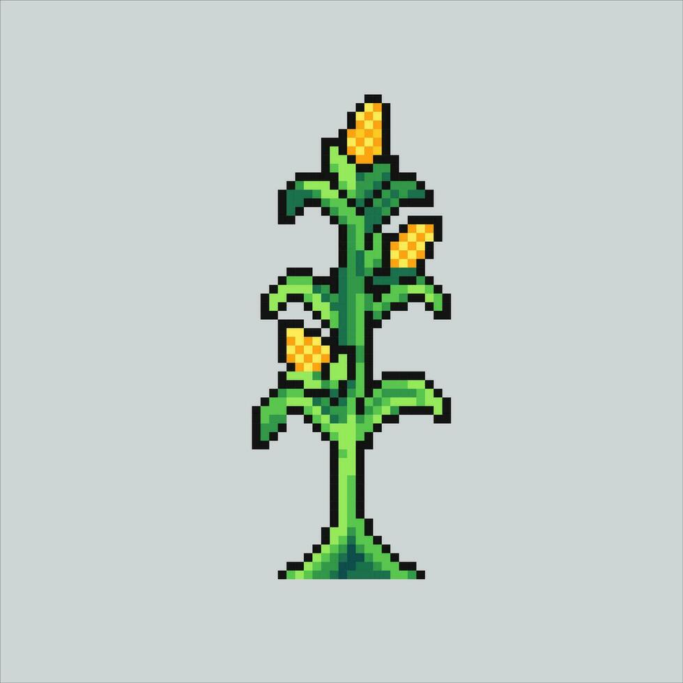 píxel Arte ilustración maíz. pixelado maíz planta. maíz planta granja pixelado para el píxel Arte juego y icono para sitio web y vídeo juego. antiguo colegio retro vector