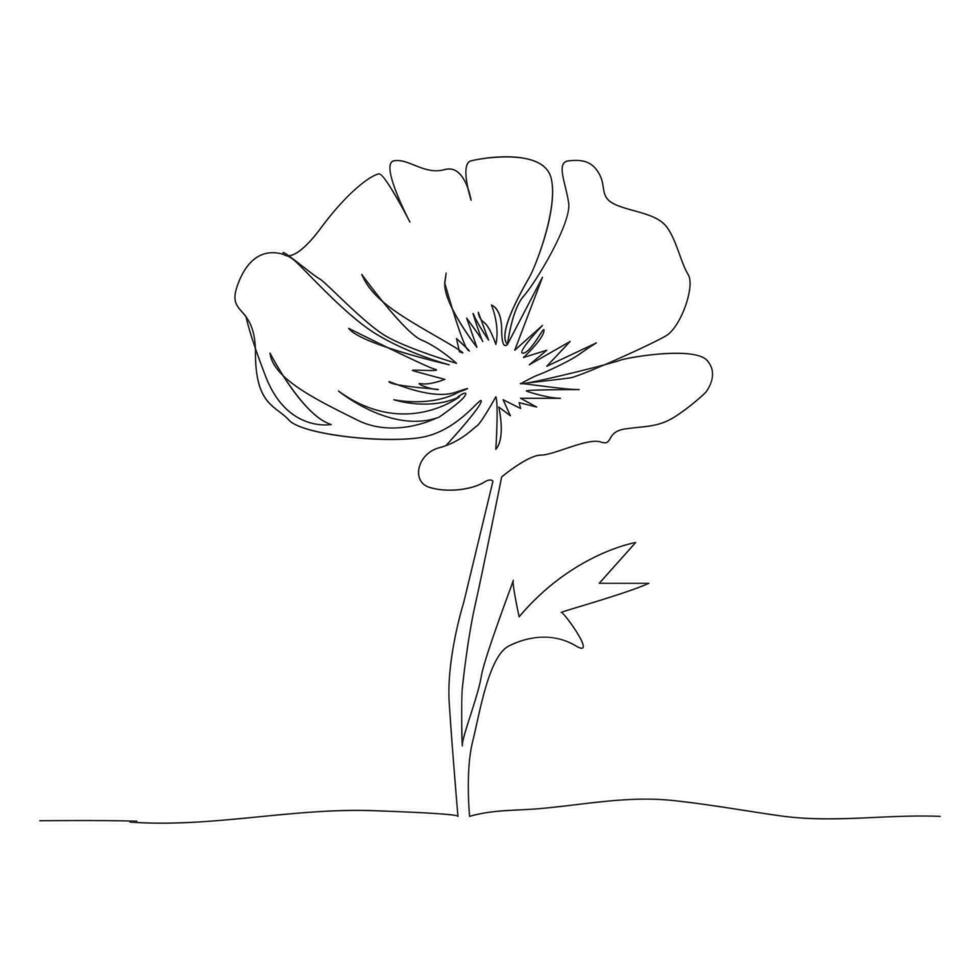 Poppy flowers continuous one line vector art illustration and single outline simple flower design