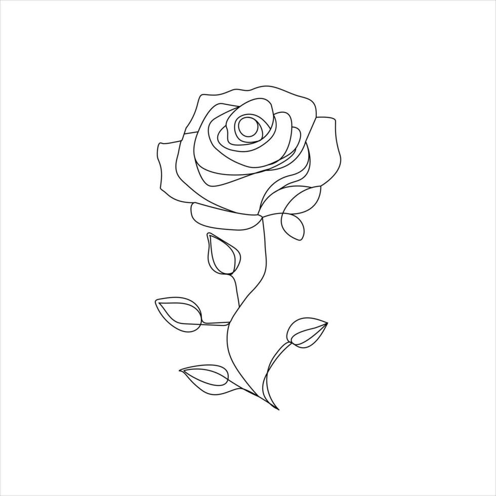 Rosa uno continuo línea dibujo. floral flor natural diseño. gráfico, bosquejo dibujo. Rosa vector