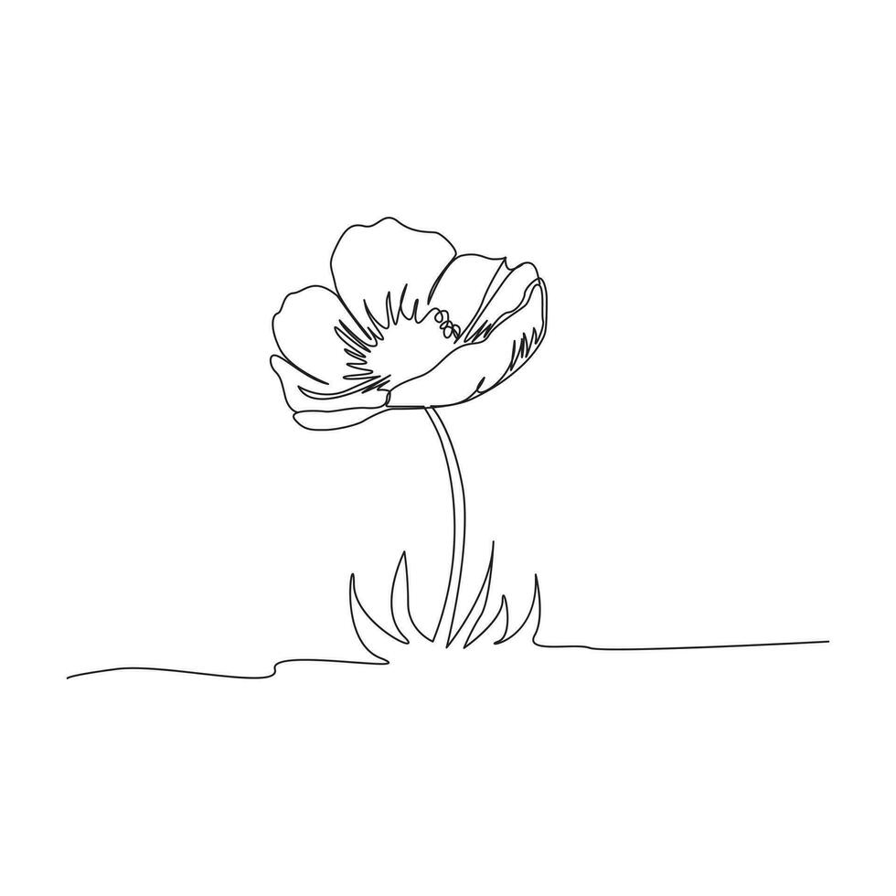 Poppy flowers continuous one line vector art illustration and single outline simple flower design