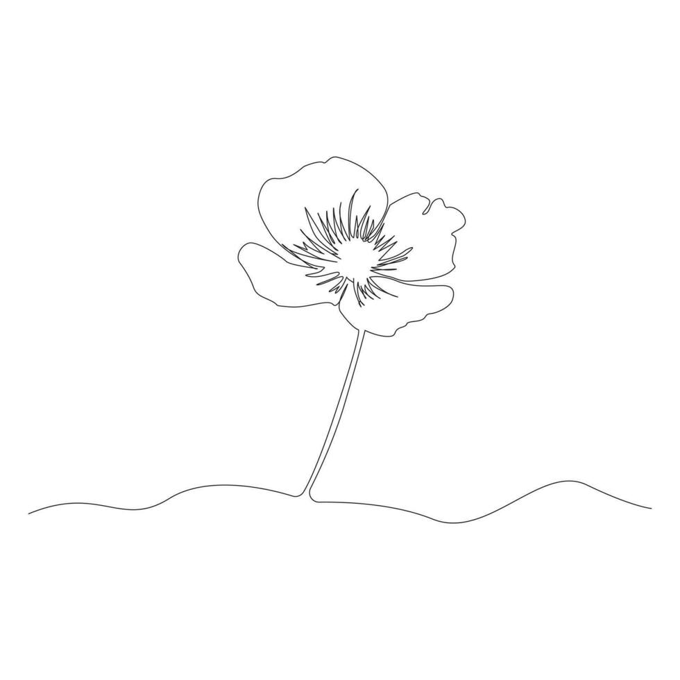 Poppy flowers continuous one line vector art illustration and single outline simple flower design