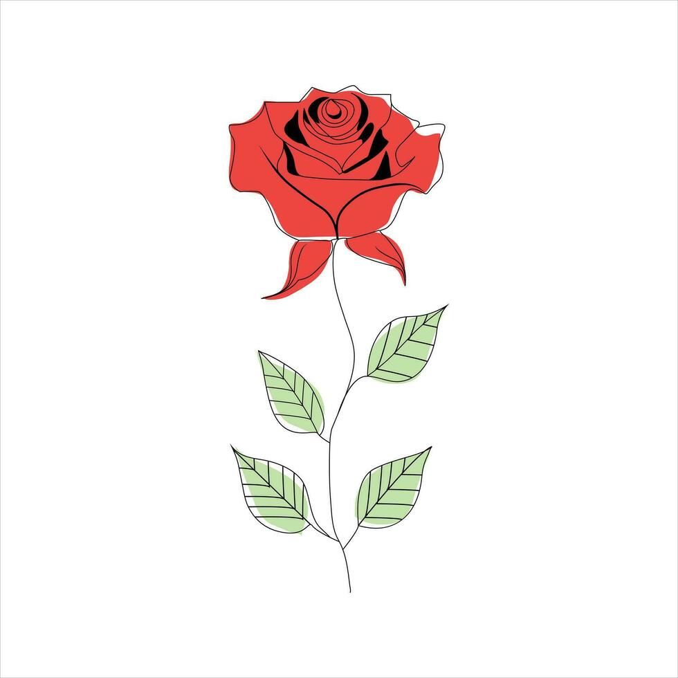 Rose one continuous line drawing. Floral flower natural design. Graphic, sketch drawing. rose vector