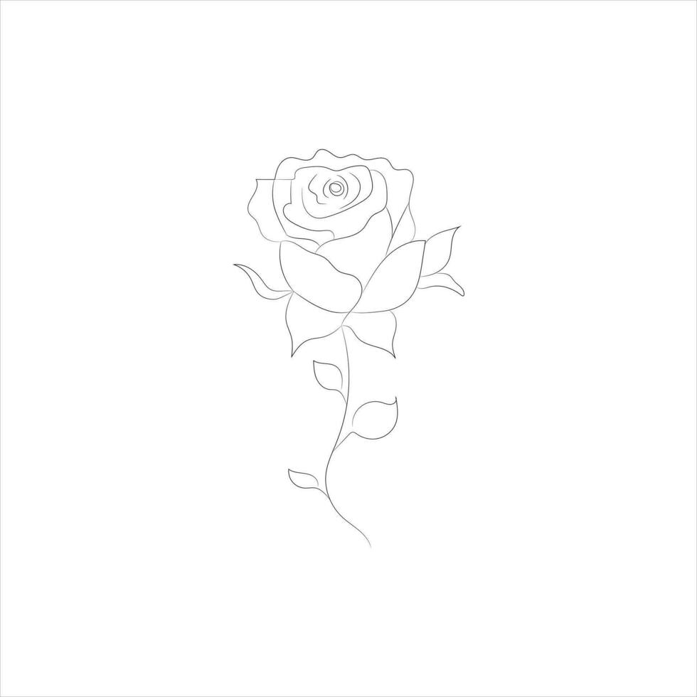 Rose one continuous line drawing. Floral flower natural design. Graphic, sketch drawing. rose vector