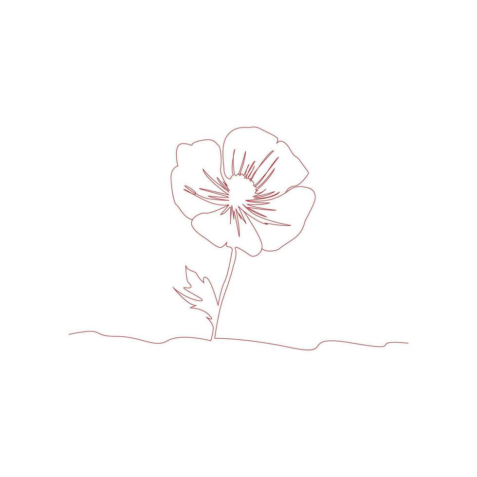 Poppy flowers continuous one line vector art illustration and single outline simple flower design