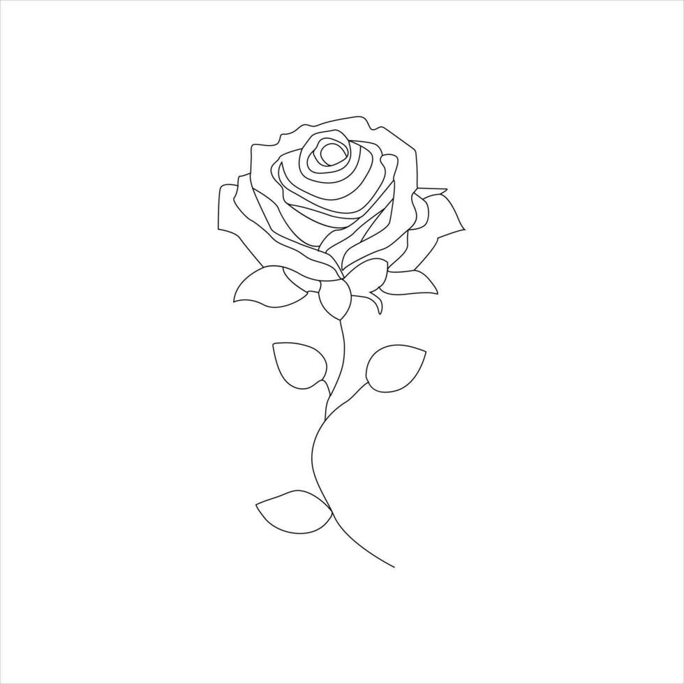 Rose one continuous line drawing. Floral flower natural design. Graphic, sketch drawing. rose vector