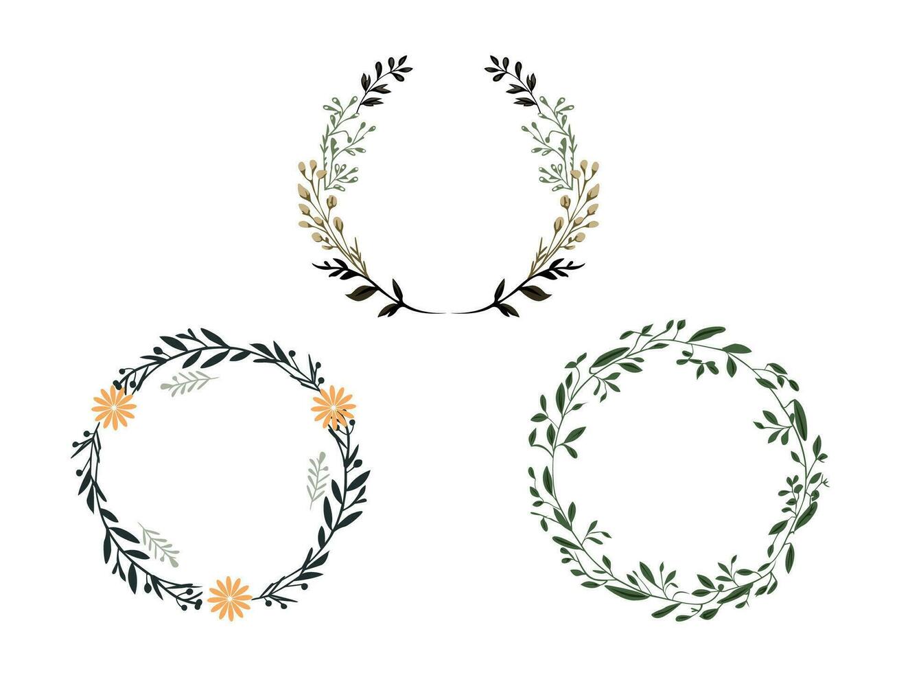 Botanical circle frame set vector illustration