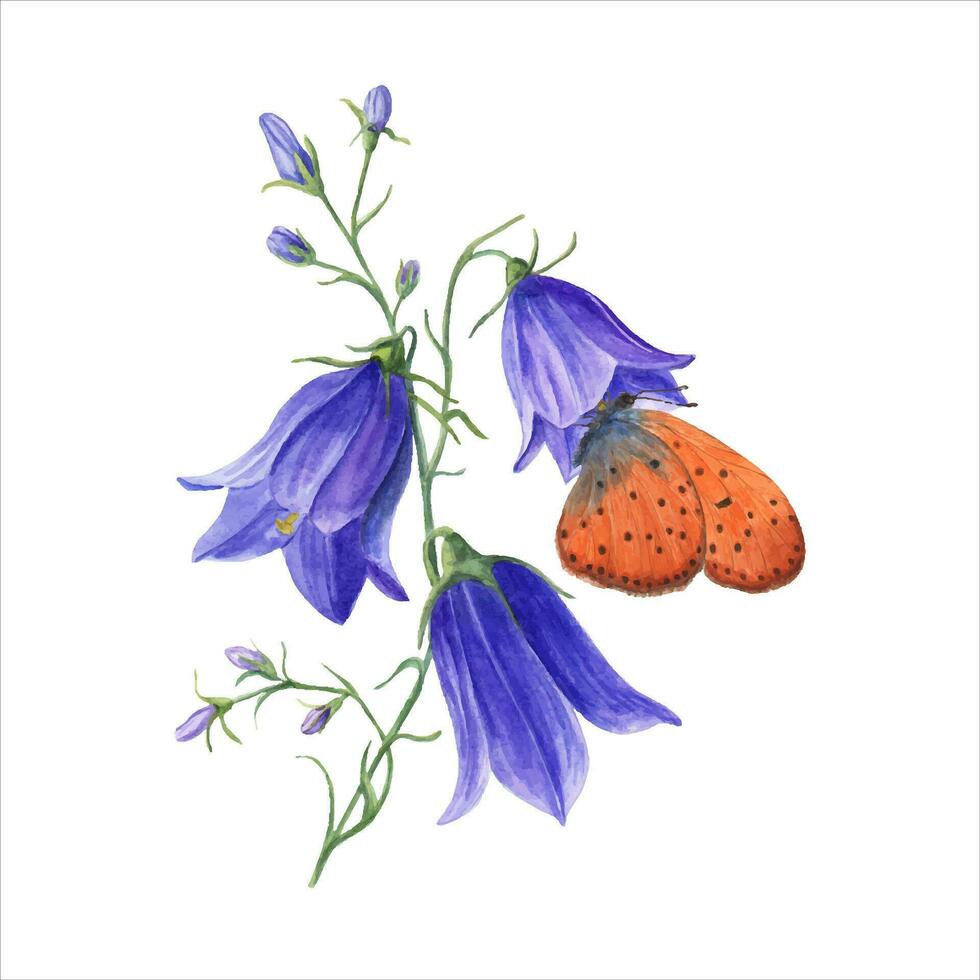 Watercolor copper-butterflies sitting on wild flower campanula. Blue bell flowers vector