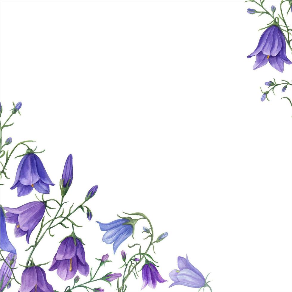 Square frame with bells. Blue lilac campanula. Botanical painting Watercolor illustration. vector