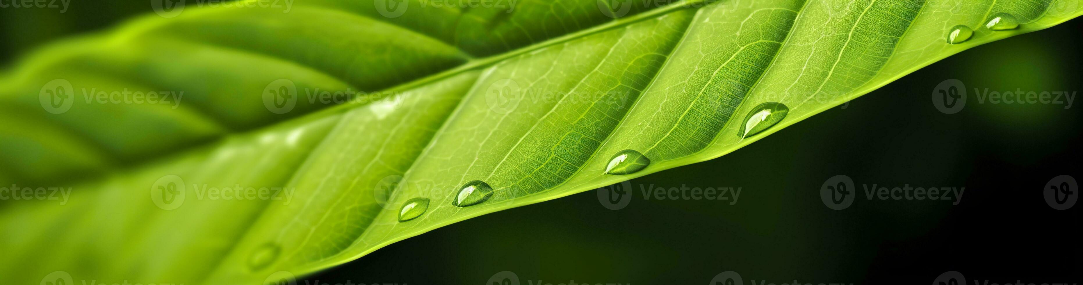 AI generated Green leaf nature background. AI Generated photo