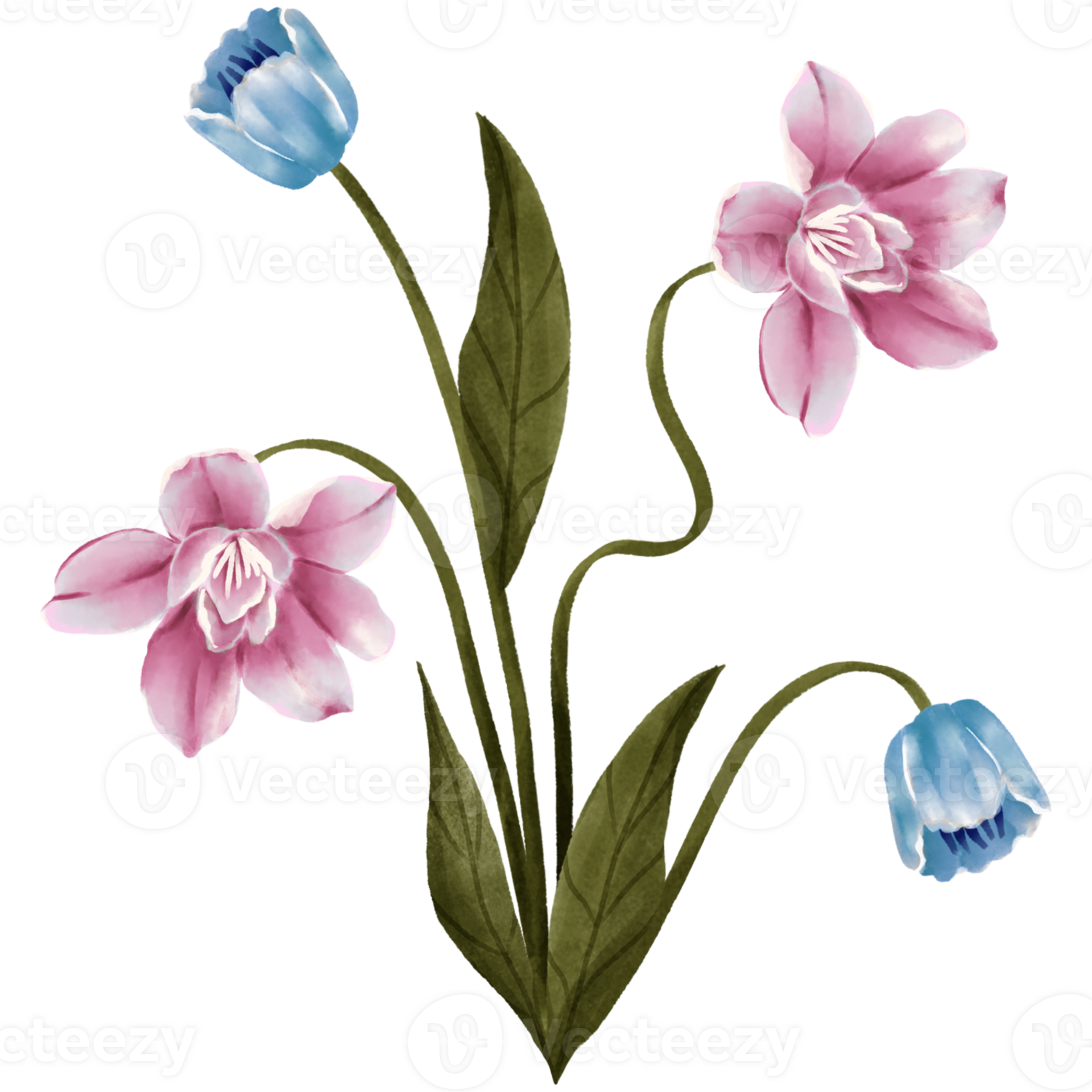 AI generated pink and blue tulips on a transparent background 36003211 PNG