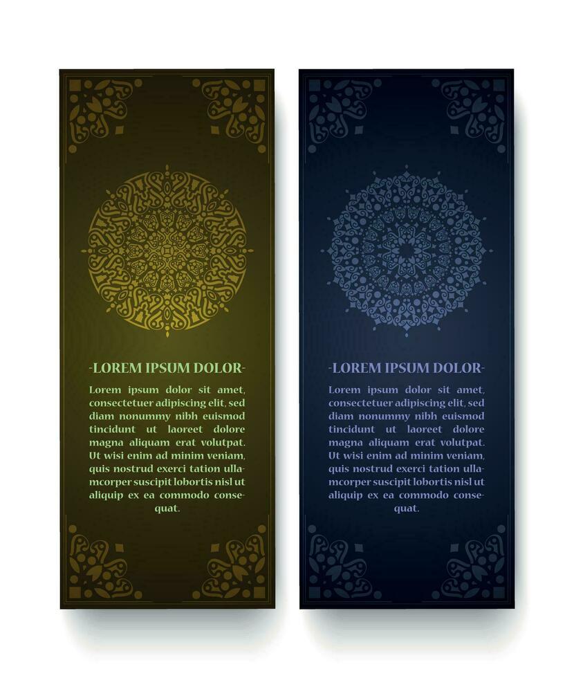 elegant mandala style card design vector