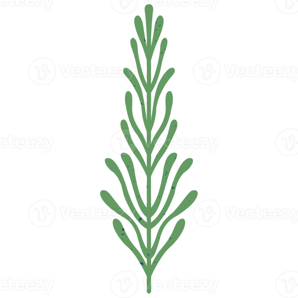AI generated a green plant on a transparent background png