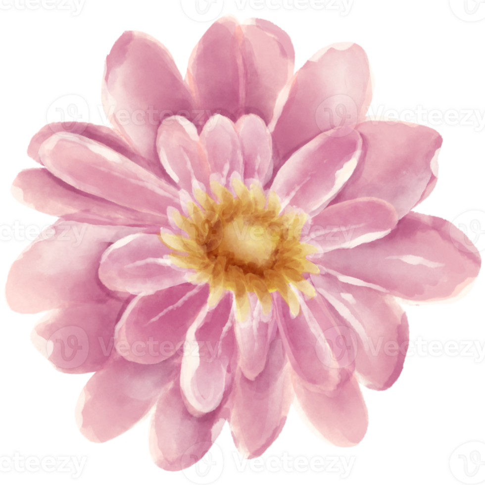 AI generated a pink flower on a transparent background png