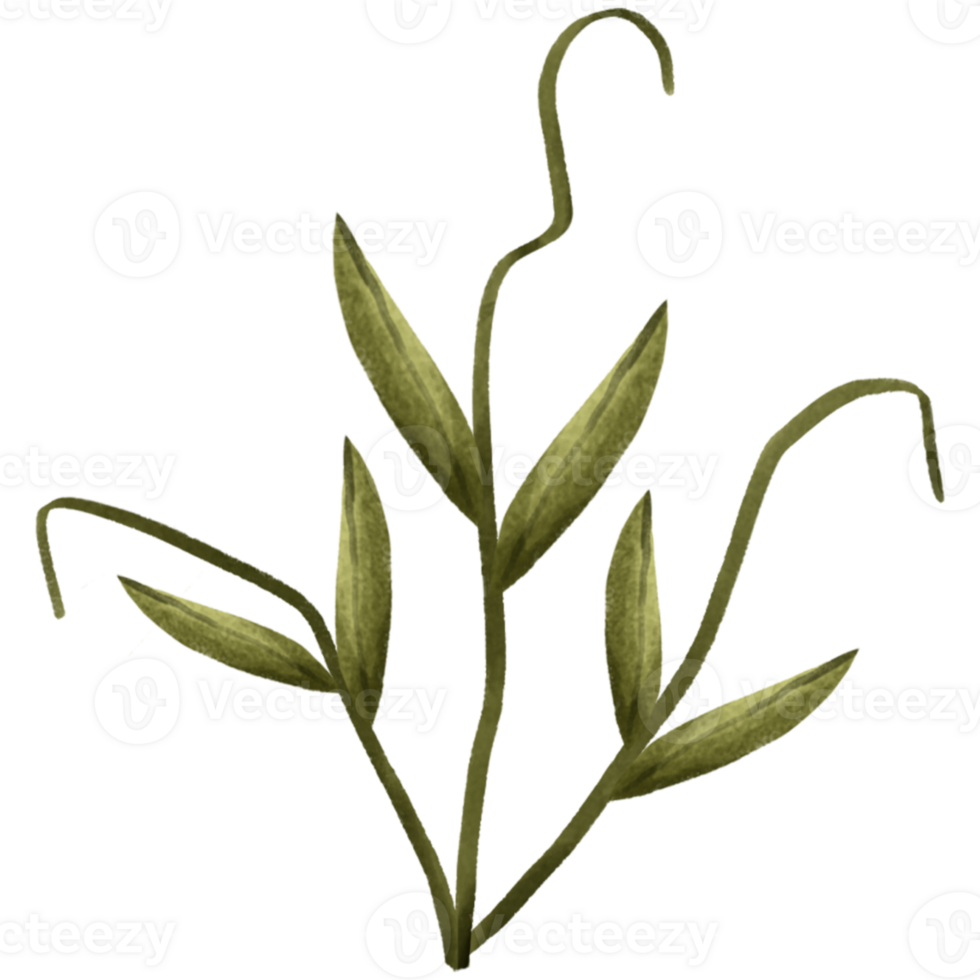 AI generated a plant with green leaves on a transparent background png