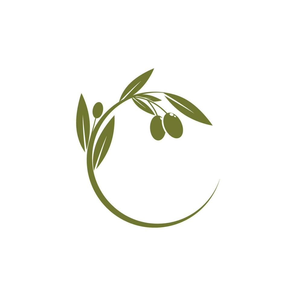 aceituna logo vector modelo símbolo elemento naturaleza