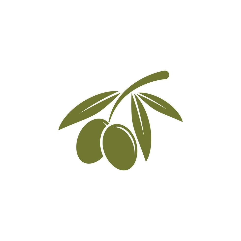 aceituna logo vector modelo símbolo elemento naturaleza