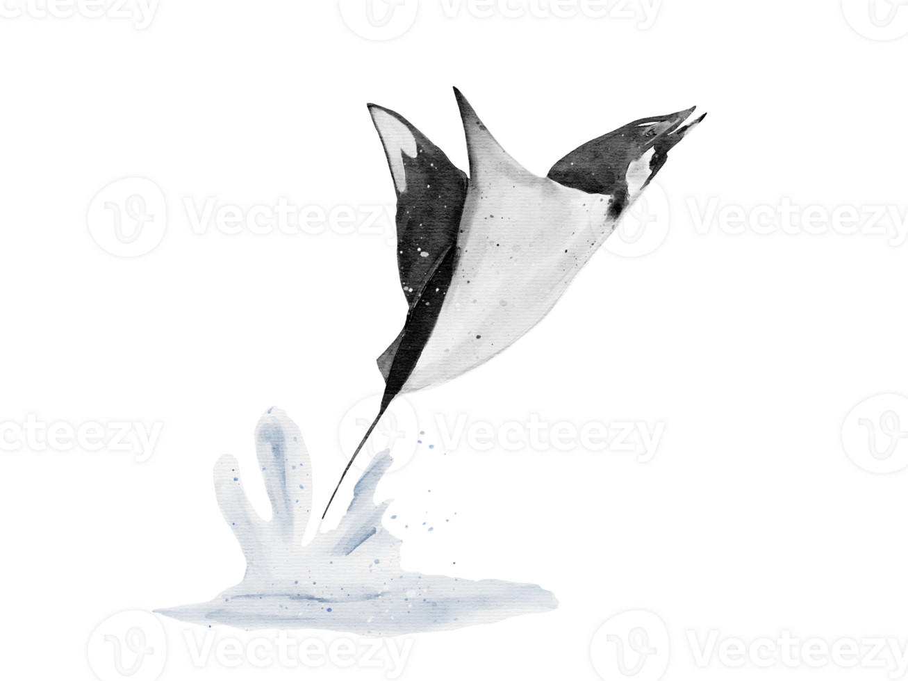 watercolor of a manta ray high fling isolated on background png