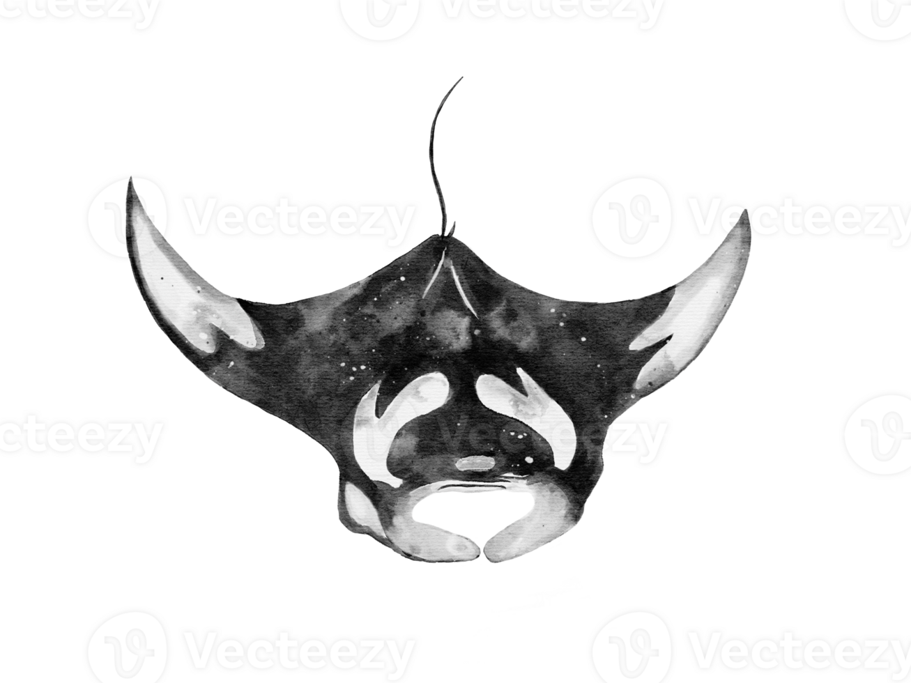 vattenfärg av en manta stråle isolerat på bakgrund png