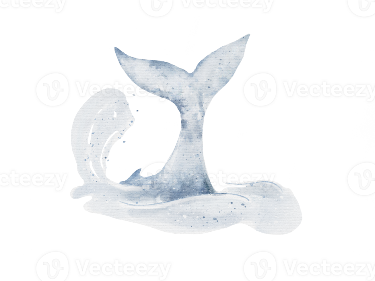 Blue whale tail with water spread drawing in watercolor isolated on background png