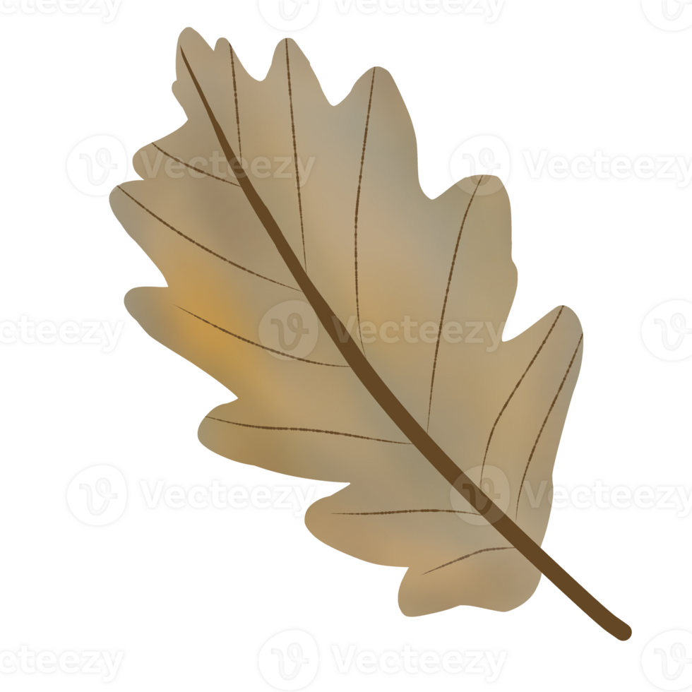 Japan autumn leaves png