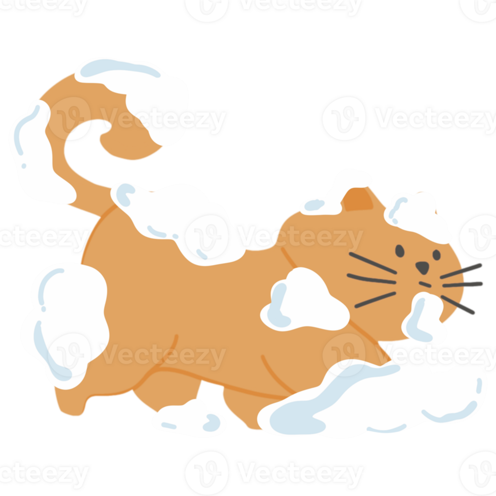 Cat bathing with soap 36004679 PNG