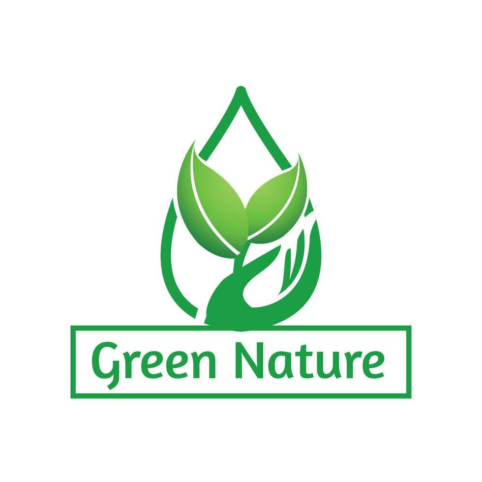 verde naturaleza marca identidad corporativo diseños logo vector