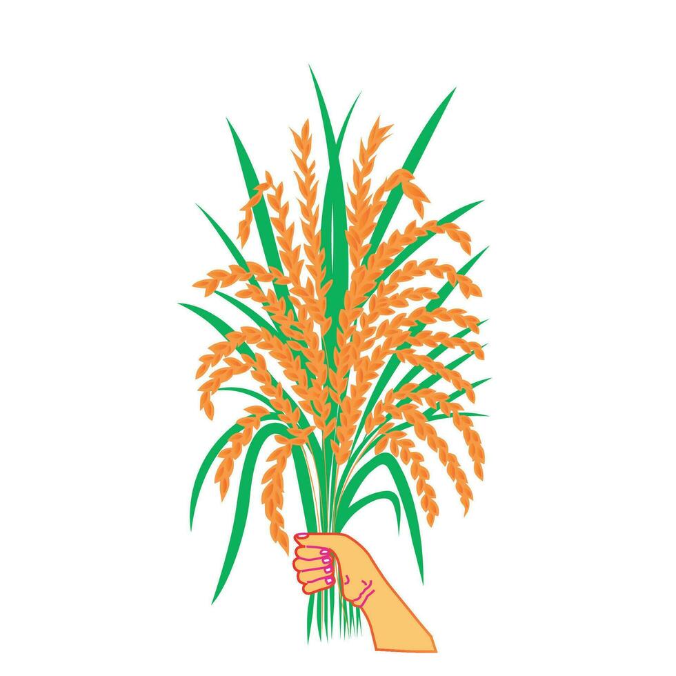 grain of rice clip art green leaves vector