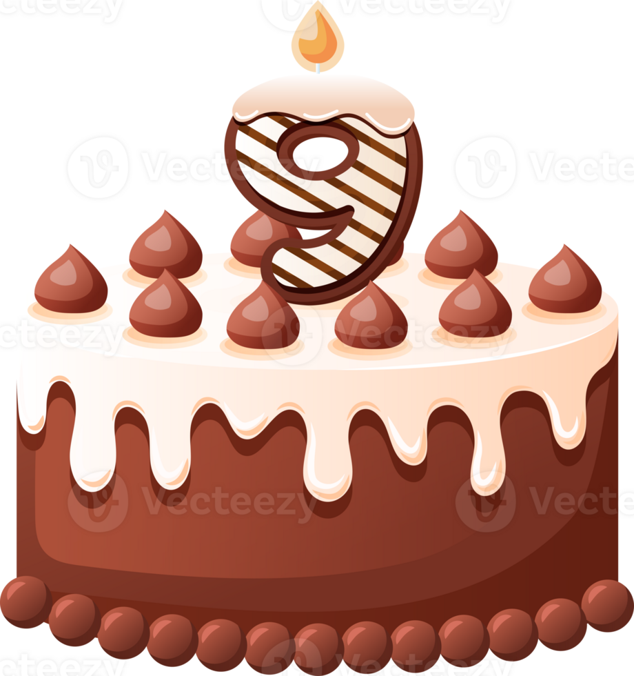 Chocolate Birthday Cake With Candle Number 9 png