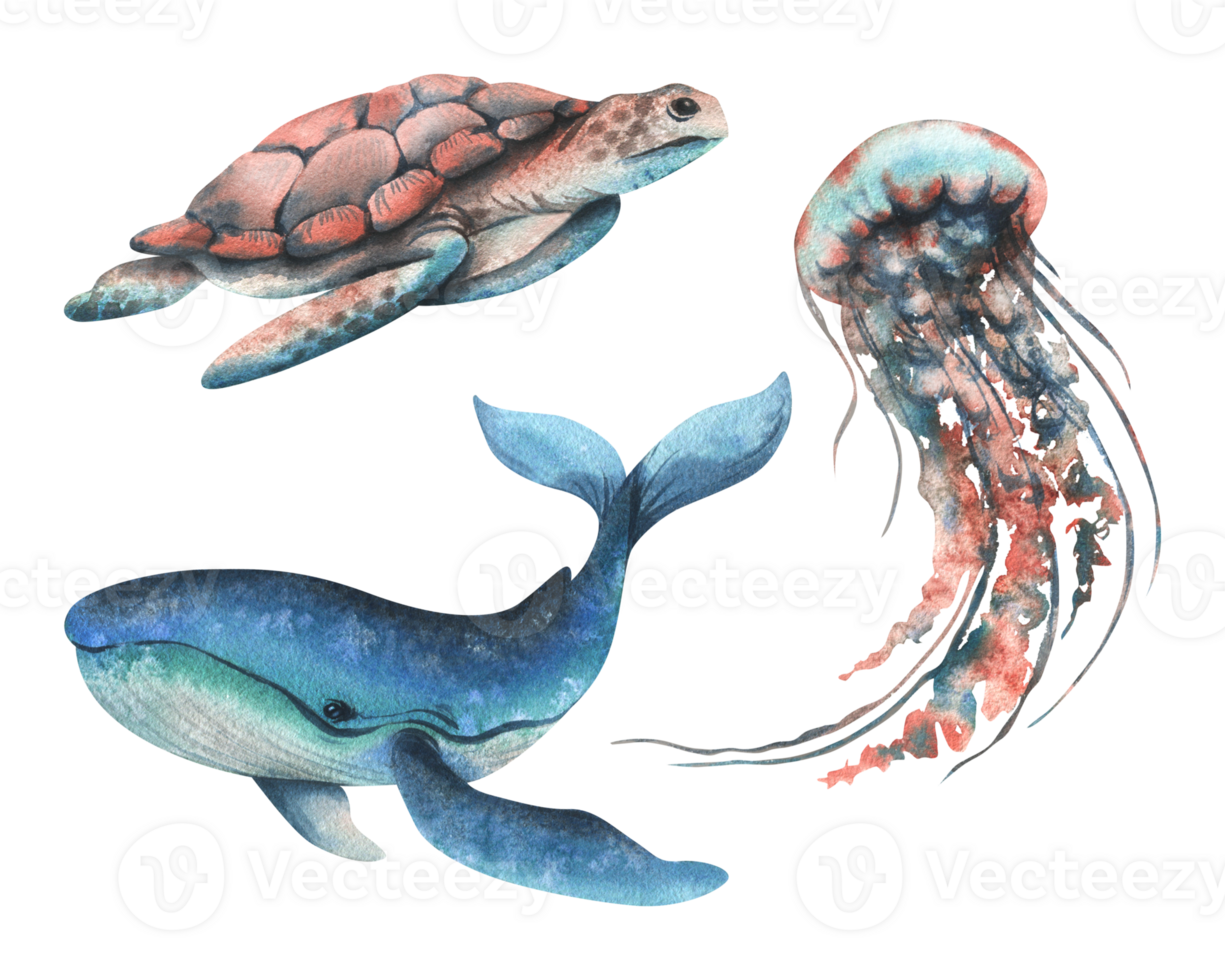 Underwater world clipart with sea animals whale, turtle, jellyfish. Hand drawn watercolor illustration. Set of isolated objects png