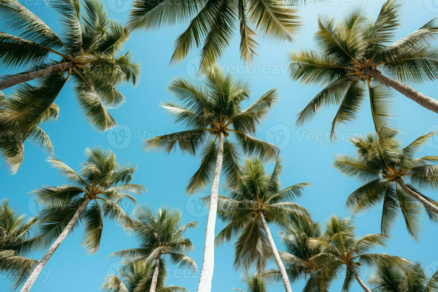 AI generated Sun-kissed Tropical palm trees view. Generate Ai photo