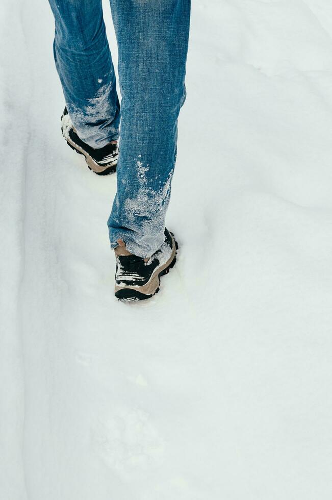 Rear view of Man Walking in Snow photo