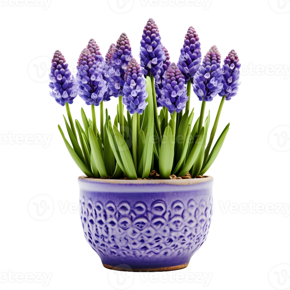 AI generated Beautiful Green Flowers in a Metal Golden Pot on Transparent background - Ai Generated png