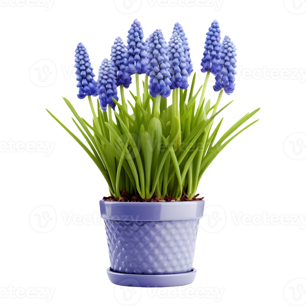 AI generated Beautiful Green Flowers in a Metal Golden Pot on Transparent background - Ai Generated png
